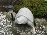 石の亀[御影石]【粗彫り/磨き無し】【BIGサイズ】