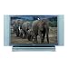 Toshiba 52HM94 52-Inch DLP Integrated HDTV with Cable Card Slot