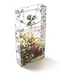 Botanique Design Glass Transferware Rectangular Vase