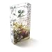 Botanique Design Glass Transferware Rectangular Vase