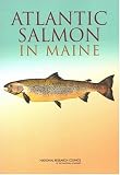 Atlantic Salmon In Maine