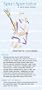 SportSpectator Women's Lacrosse Guide (Basic Lacrosse Rules and Strategies)