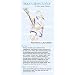 SportSpectator Women's Lacrosse Guide (Basic Lacrosse Rules and Strategies)