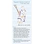 SportSpectator Women's Lacrosse Guide (Basic Lacrosse Rules and Strategies)