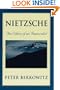Nietzsche: The Ethics of an Immoralist