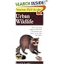 Peterson First Guide to Urban Wildlife (Peterson First Guides (R))