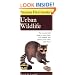 Peterson First Guide to Urban Wildlife (Peterson First Guide (R))