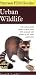 Book Peterson First Guide to Urban Wildlife (Peterson Field Guides (R))