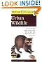 Peterson First Guide to Urban Wildlife (Peterson First Guide (R))