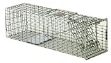 HUMANE BOX TRAP 18X