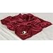 Florida State Seminoles NCAA Baby Blanket