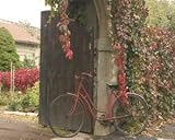Red Bicycle Near Gate, Art Poster by Francisco Fernandez
