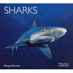 Sharks
