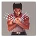 Search : Hugh Jackman Color Matte Photograph (12x12 Inches - X-Men)
