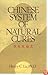 Chinese System Of Natural Cures
