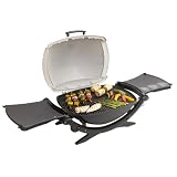 Weber Q 200 Portable Propane Grill, Silver Series