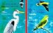 The Birds of the Western Palearctic