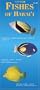Fishes of Hawaii (Hawaii Pocket Guides)