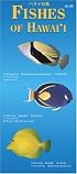 Fishes of Hawaii (Hawaii Pocket Guides) (Hawaii Pocket Guides)