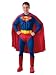 Search : Superman Deluxe Adult Halloween Costume