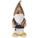 NFL Green Bay Packers Team Thematic Gnome