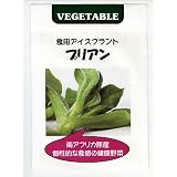 食用アイスプラント プリアン
