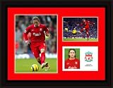 Harry Kewell Framed Player Profile