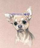 Chihuahua - Portrait by Cindy Farmer