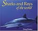 Sharks and Rays of the World (Worldlife Discovery Guides)