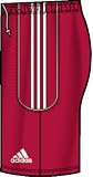 adidas Boys 8-20 Squadra Ii Short,University Red, White,Small