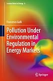Pollution under environmental regulation in energy markets