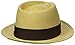 Brixton Men's Baxter Fedora Hat