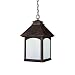 Capital Lighting 9057RI-GD Lodge 1-Light Energy Star Outdoor Pendant Fixture, Rustic Iron with Frosted Seeded Glass