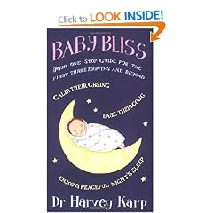 Baby Bliss: Your One-stop Guide for the First Three Months and Beyond