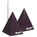X10 POWERMID Remote Control Extender Kit PM5900