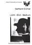 Licht, Bild, Medium: Untersuchungen zur Fotografie am Bauhaus (Akademische Abhandlungen zur Kunstgeschichte) (German Edition)