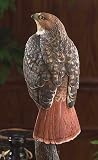 Red Tailed Hawk Figurine
