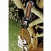 Outdoor Living : Electric Polesaw Has Deep Cutting Capacity