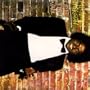 Off the Wall (Limited Edition)