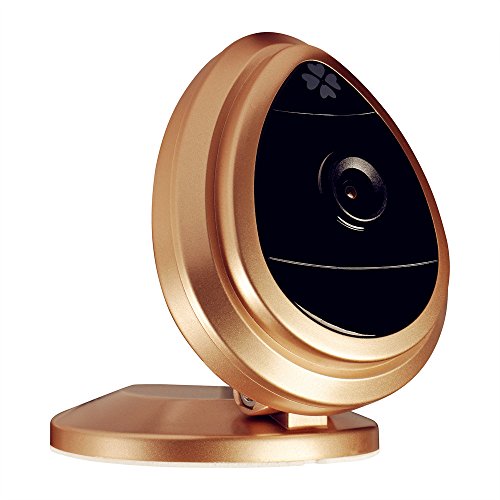 WEMELODY H.264 1.0 Mega Plug and Play NANO Indoor IP Camera Support Video Control, Motion Detection, External Alarm(Brown)