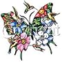 Butterfly Birds Womens Scoop Neck T-Shirt
