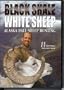 BLACK SHALE, WHITE SHEEP DVD Alaska Dall Sheep Hunting