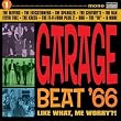Garage Beat '66, Vol. 1: Like What, Me Worry?!