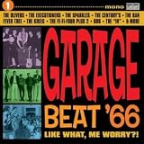 Garage Beat '66, Vol. 1: Like What, Me Worry?!