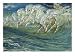 Neptune's Horses, Illustration for 