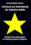 Lehrbuch zur Entwicklung der okkulten Kr�fte: Handbuch der wei�en Magie zur Entfaltung magischer F�higkeiten - Karl Brandler-Pracht