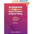 Acupuncture and Related Techniques in Physical Therapy by Val Hopwood, Maureen Lovesey, and Sara Mokone
