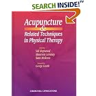 Acupuncture and Related Techniques in Physical Therapy by  Val Hopwood, Maureen Lovesey, and Sara Mokone