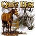 Quarter Horse Adult Sweatshirt