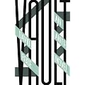 Vault: An Anti-Novel (Salt Modern Fiction)
